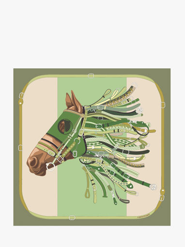 Longchamp Soie gots Sjaal Groen